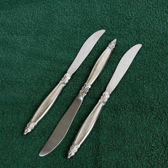 14 pc 1847 Rogers Bros. IS Silver Plate GARLAND Flatware Set - Picture 8 of 8